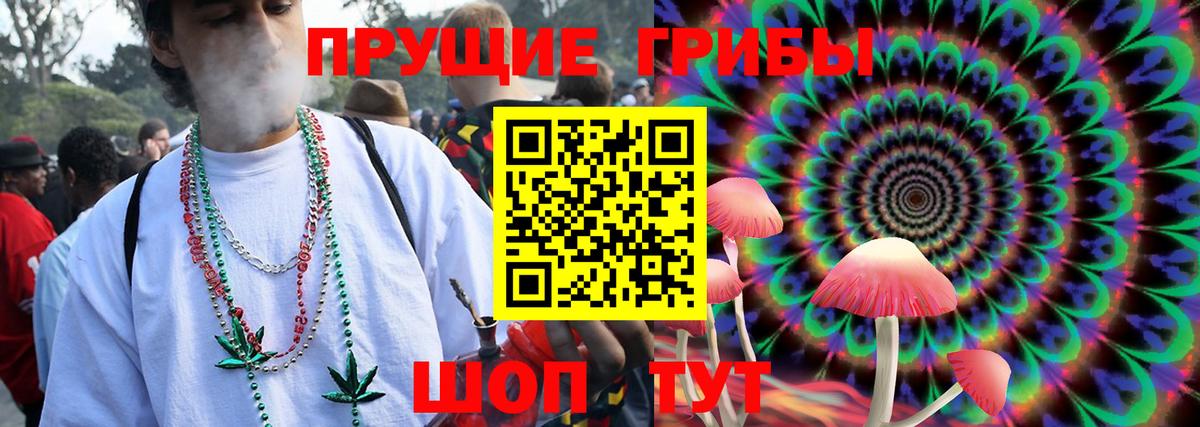 Железноводск  Псилоцибиновые грибы Cubensis  Вход с VPN 